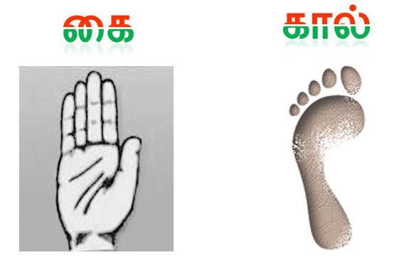 [congress.JPG]