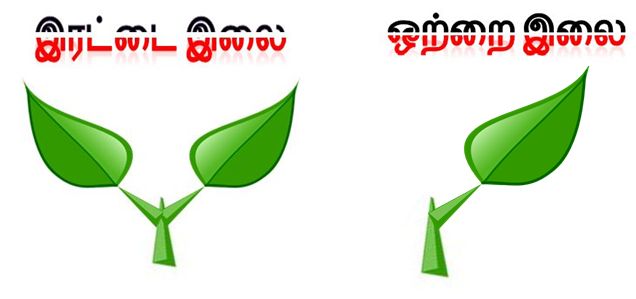 [admk.JPG]