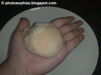 worlds biggest scallop