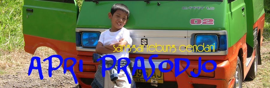 Apri Prasodjo