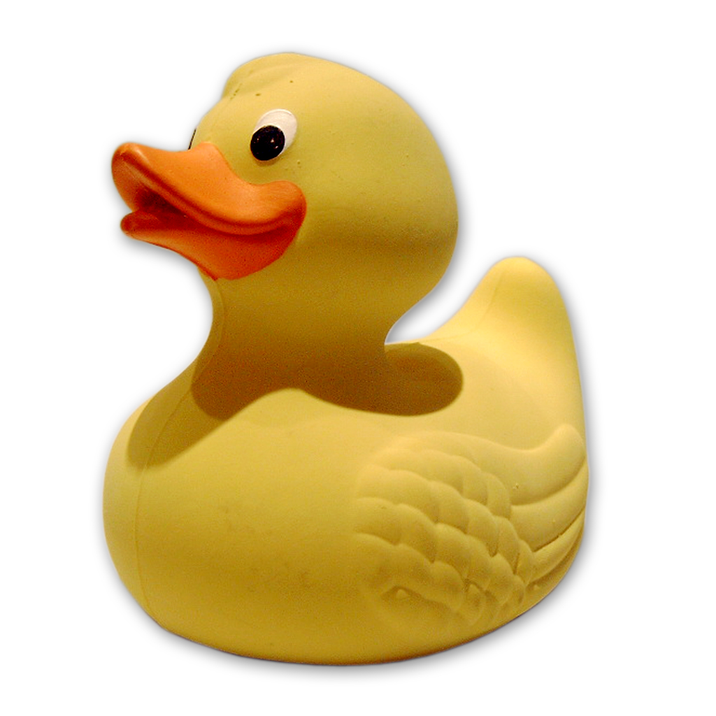[Image: rubberDuck.jpg]