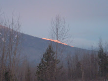 Pink on the mountain