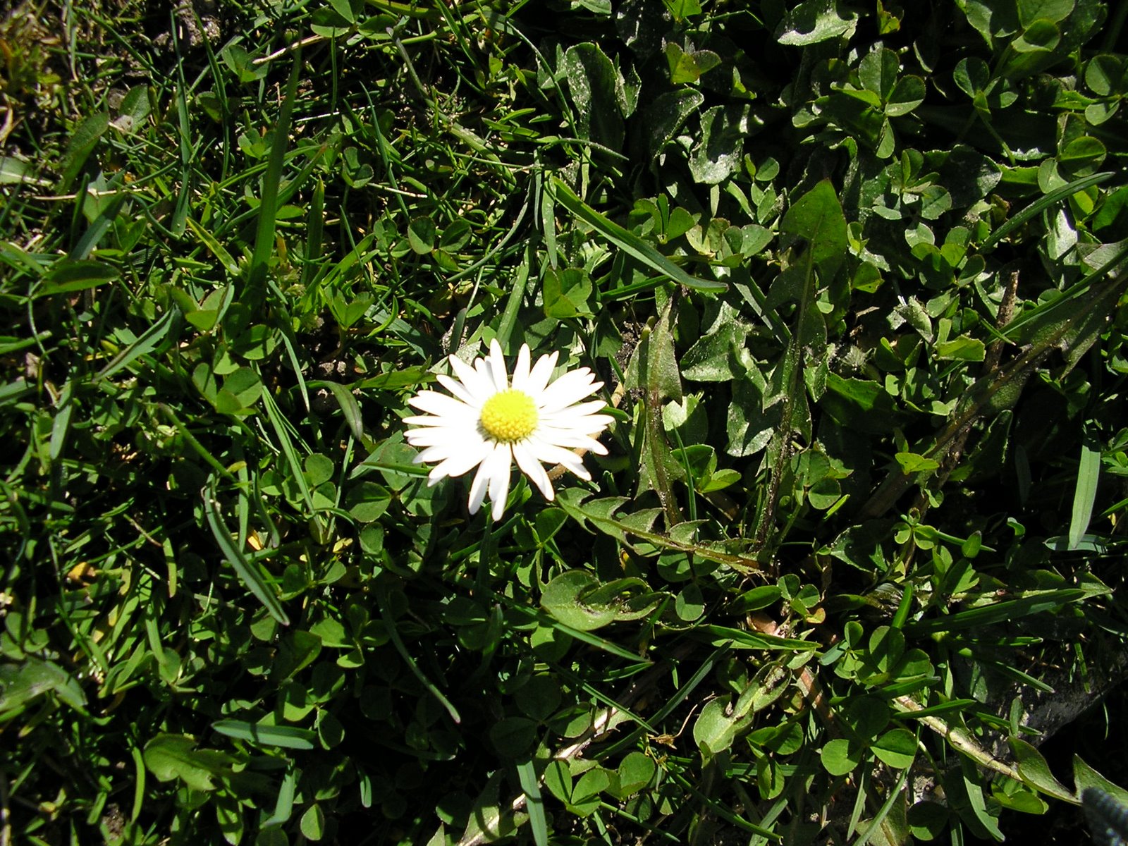 [P3010593.JPG]