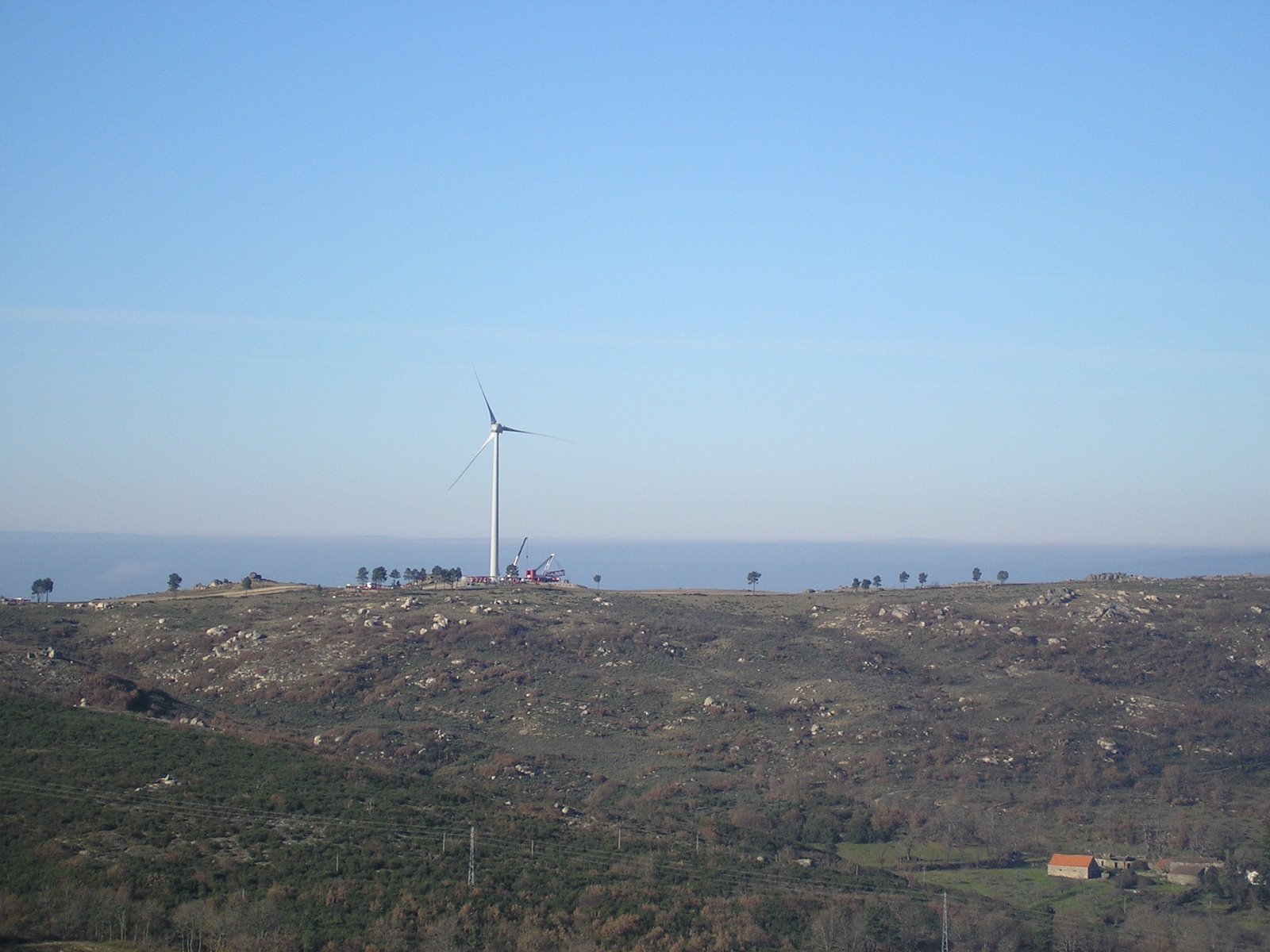 [PC150406.JPG]