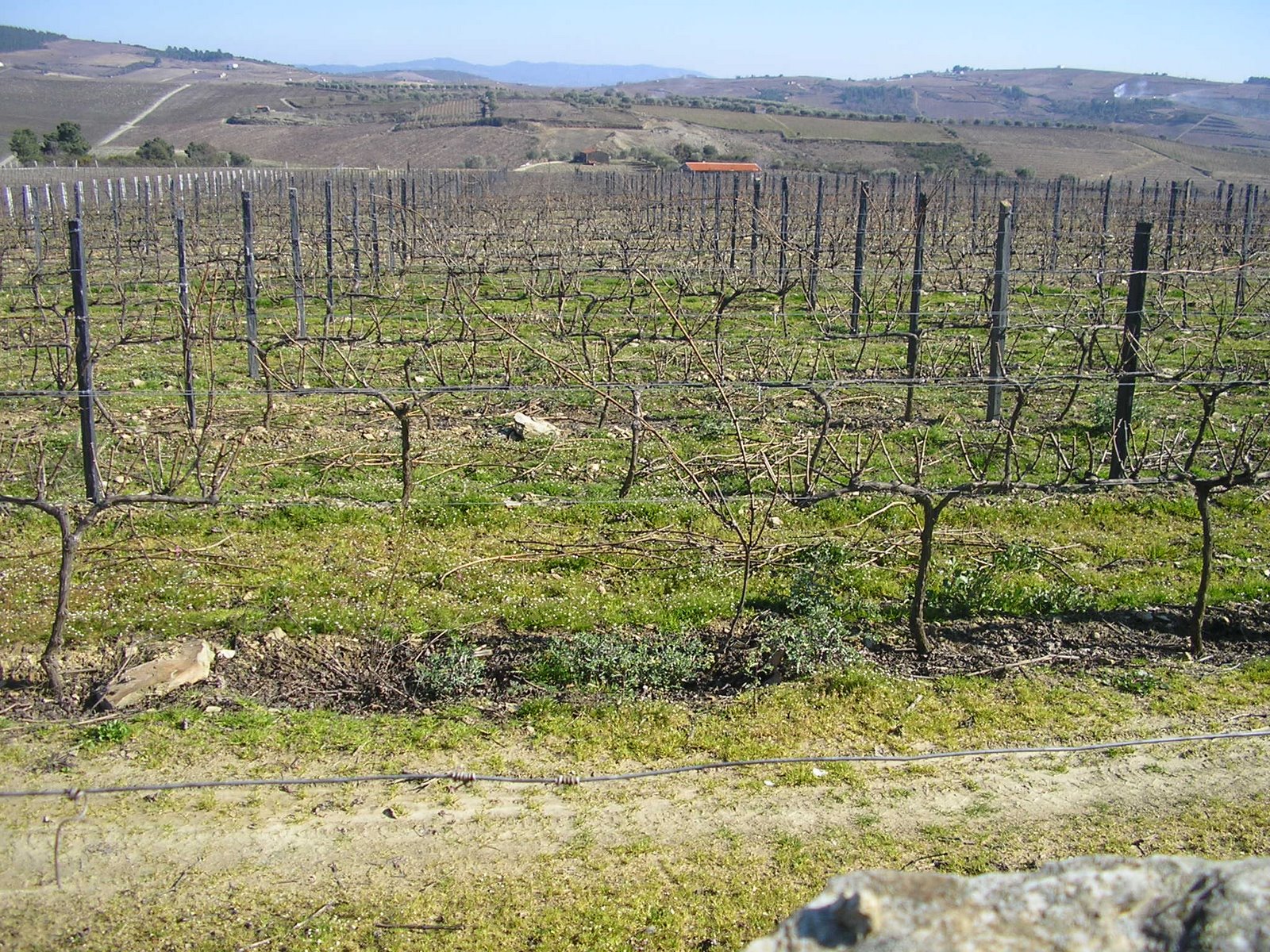 [P2230164.JPG]