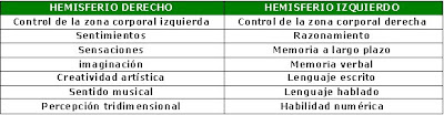 Funciones de los hemisferios cerebrales