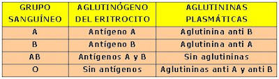 antígenos y aglutininas de cada grupo sanguíneo