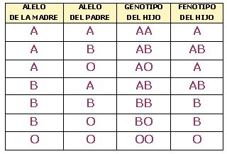 Presentacion Del Capitulo 11