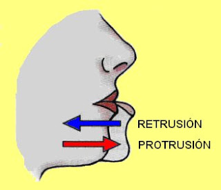 movimientos de retrusión y protrusión