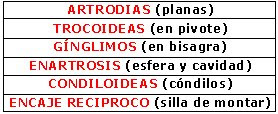 características de las diartrosis