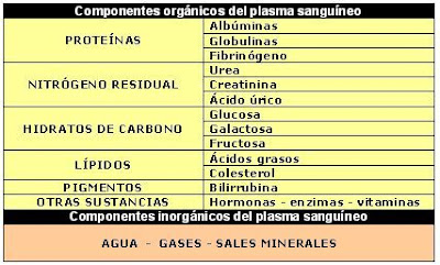 componentes del plasma sanguíneo