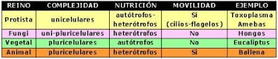 reino dominio bacterias hongos plantas animales cianobacterias arqueobacterias genero especie clase