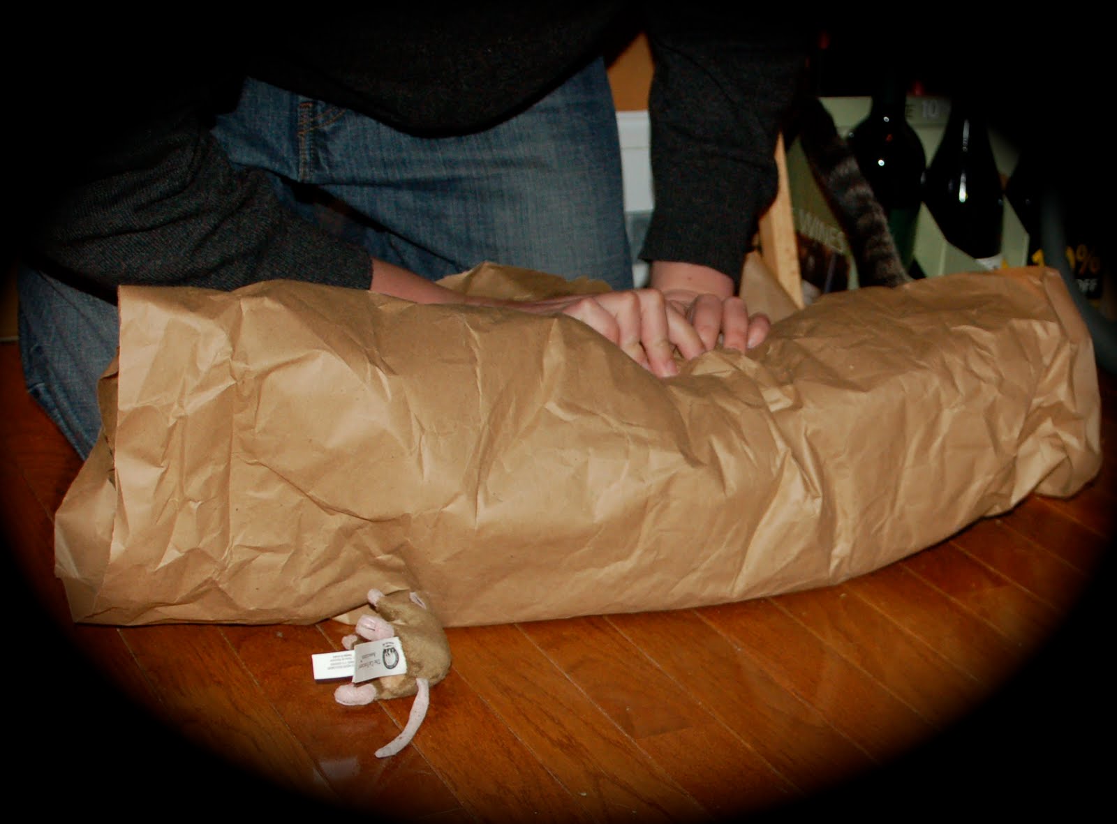 Coffee with Cats How to Make a Cat Burrito