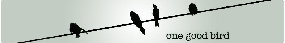 one good bird