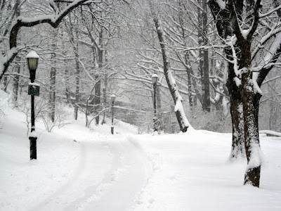 Winter in Riverside Park NYC