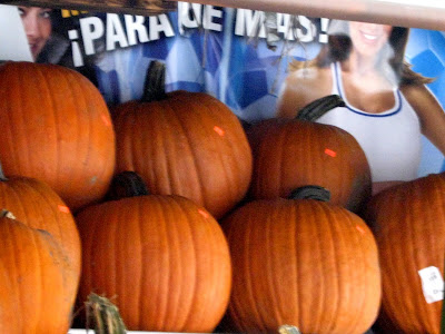 Halloween harvest pumpkins para que mas