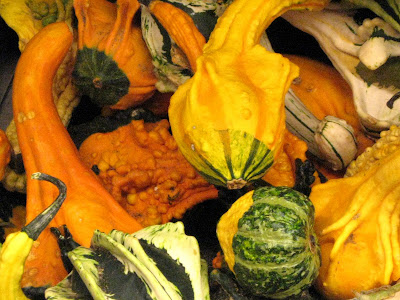 Halloween Fall Harvest Decorative Gourds