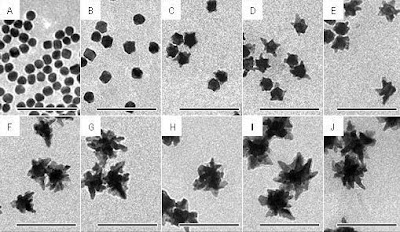 Gold Nanostar: Shape of The Future