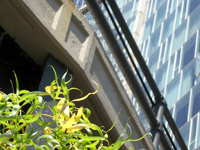 Alpha Ralpha Boulevard High Line (New York City)