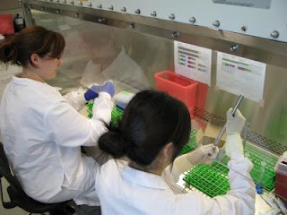 Researchers from Rensselaer Polytechnic Institute