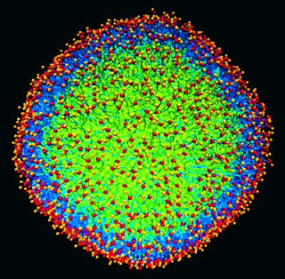 nanoparticle