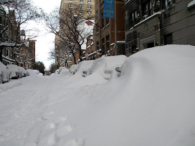 Snow Covered Cars