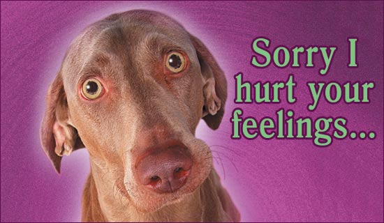 [hurtfeelings.jpg]