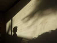 Shadow life