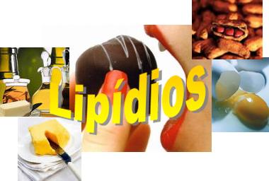 [introd_lipidios.JPG]