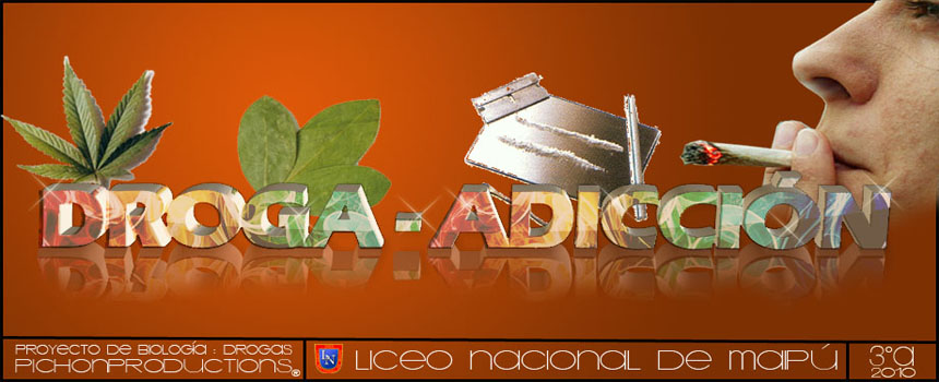 LAS CAUSAS DE LA DROGADICCION las causas de la drogadiccion: