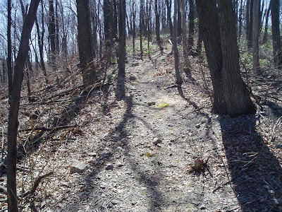 The path upward toward the Lord, 30 March 2007, photo by J Chamberlain