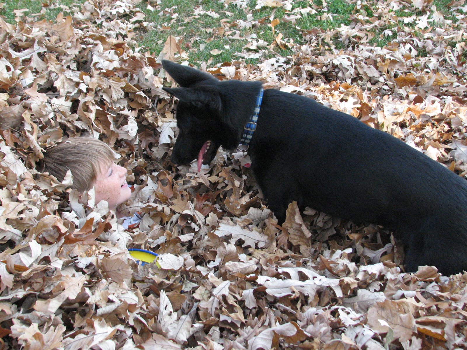 [Fall+2008+(8).jpg]
