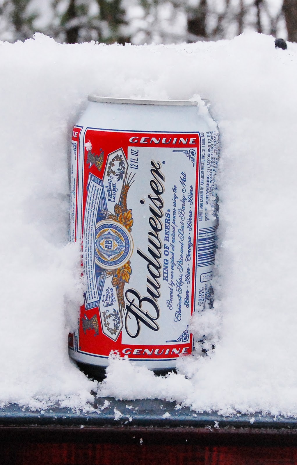 Image result for snow covered budweiser