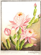 Desenho // Flores de Cáctus. [Lápis de cor comum e aquarelável, papel ofício . (desenhomilafrade )