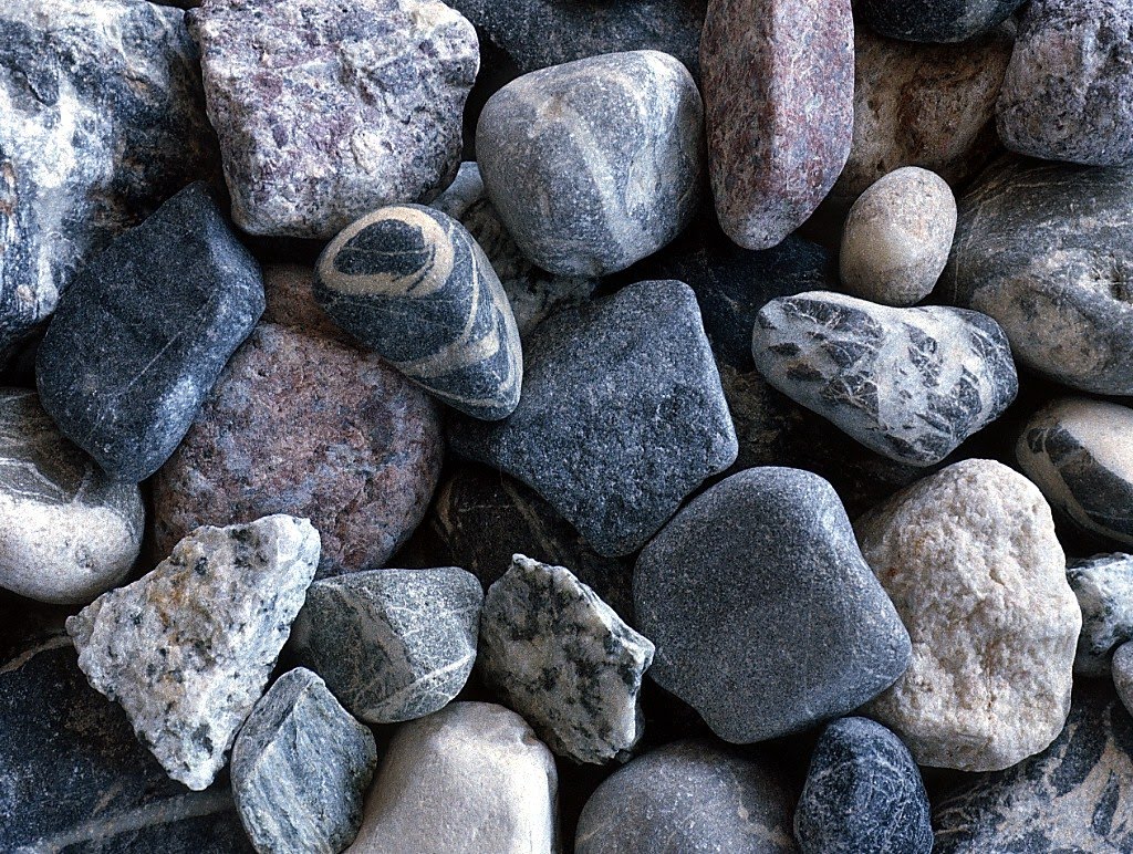 Arizona Jones Too Throwing Stones