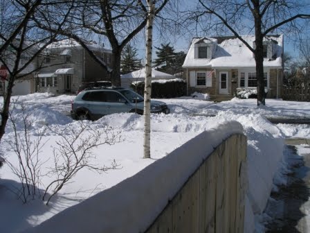[snow8.JPG]