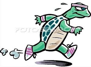 [disegno-tartaruga-correndo.jpg]