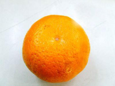 [An+Orange+01.jpg]