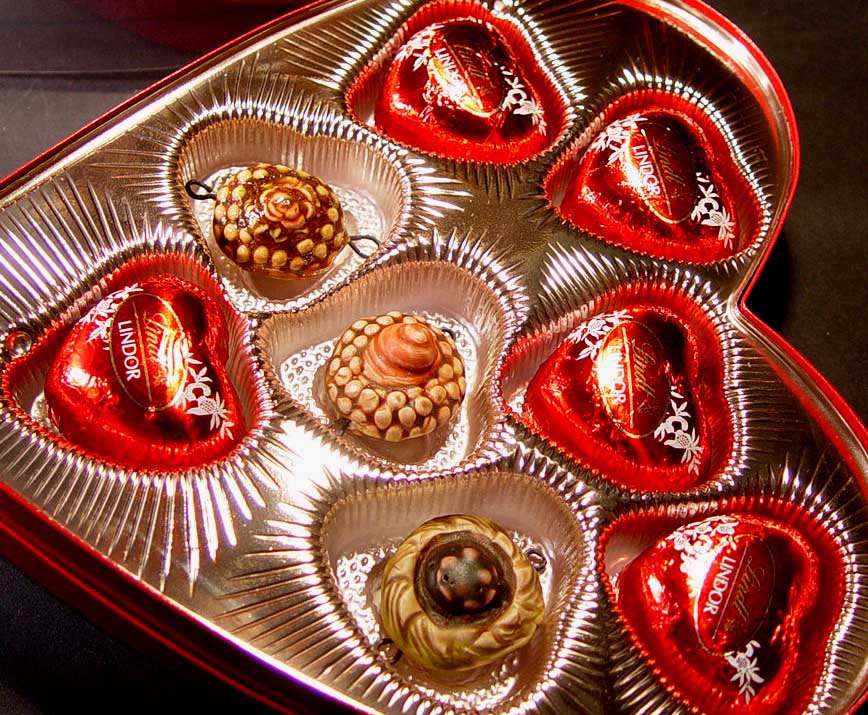 [studiosaturday1.jpg]