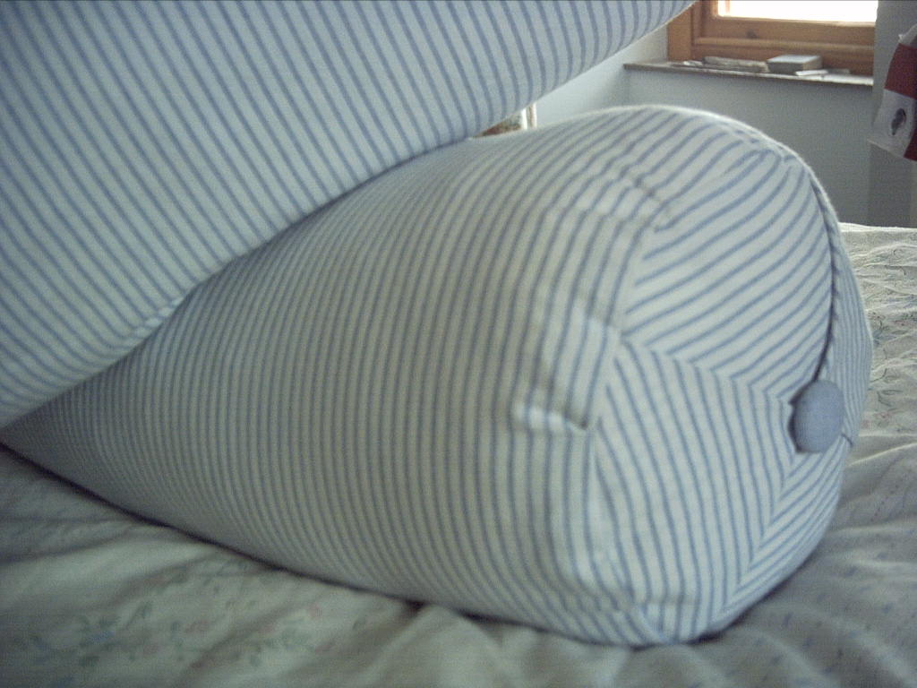 Mad Madam Mel Bolster cushions