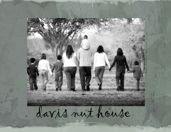 DAVIS NUT HOUSE