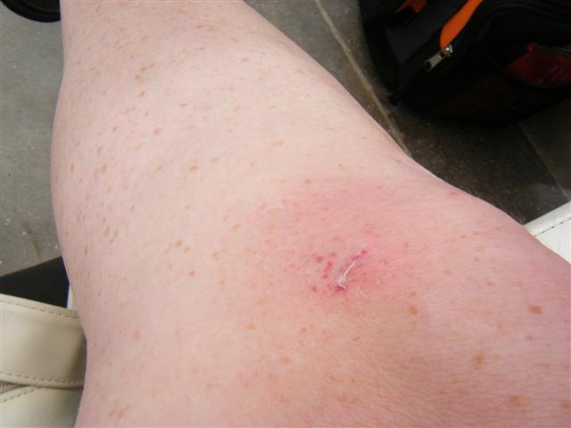 [DSCF6052+(Small).JPG]