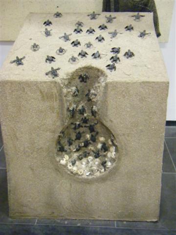 [DSCF6664+(Small).JPG]