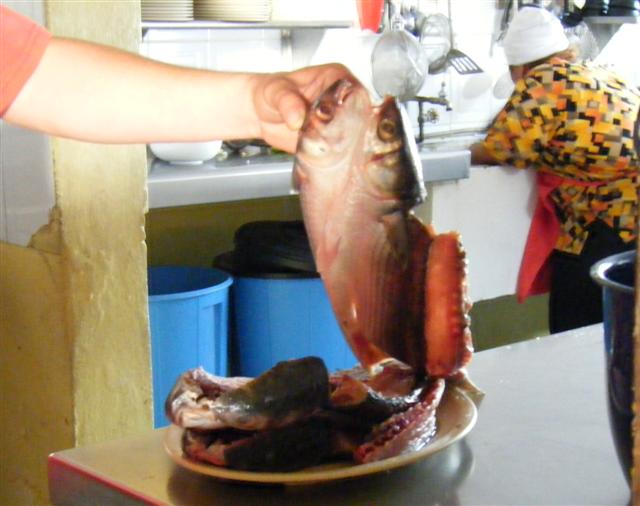 [mysteryfish+(Small).jpg]