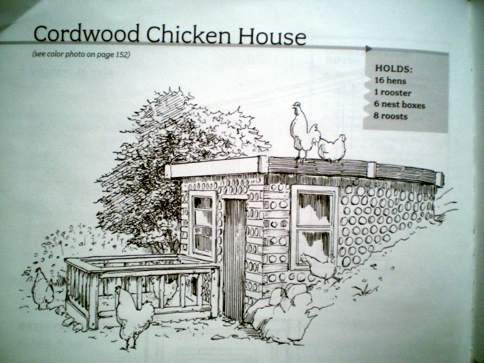 [cordwood+chicken+coop+book+pic+006.jpg]