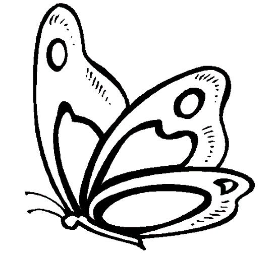 Mi colección de dibujos: ♥ Lindas mariposas para colorear ♥