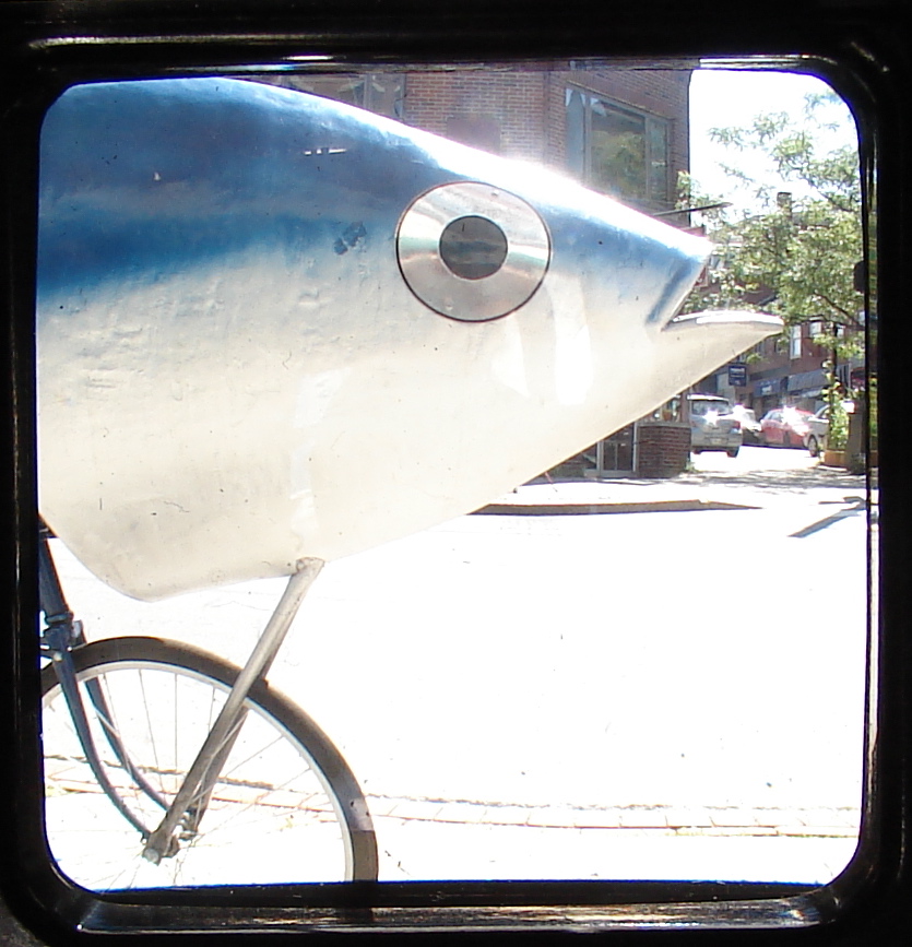 [DSC08543.JPG]