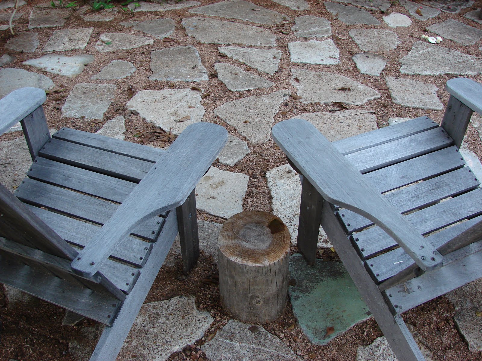 [DSC09547.JPG]