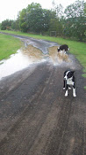 Jasper and Rannoch