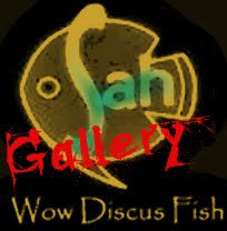 Wow Discus Gallery